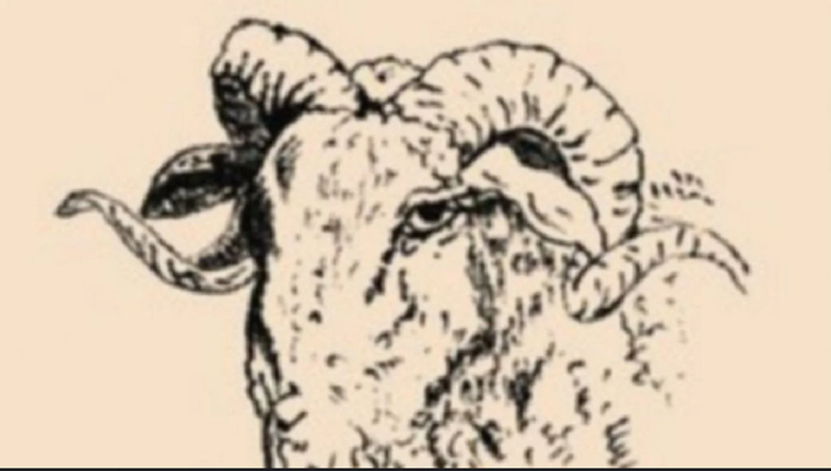 ACERTIJO VISUAL ACERTIJO VISUAL, RETO VISUAL, NIÑO Foto: Archivo MDZ