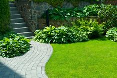JARDINERÍA EL SLOW GARDENING ES TENDENCIA EN EL MUNDO DE JARDINERÍA. Foto: Shutterstock