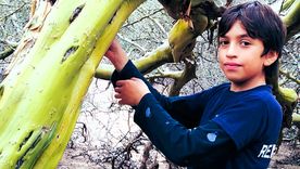 Aarón Sosa Azaguate, niño huarpe del secano. Foto Ulises Naranjo