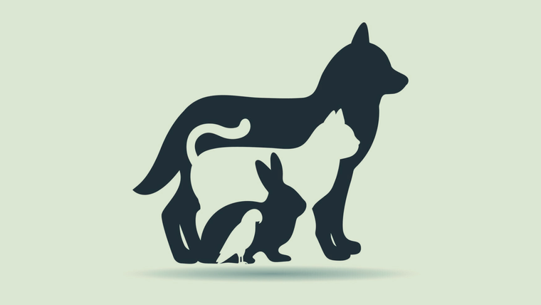 test de personalidad test de personalidad