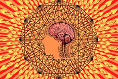 El test visual que pondrá a prueba tus hemisferios cerebrales Test visual Foto: Canva El test visual que pondrá a prueba tus hemisferios cerebrales Test visual Foto: Canva