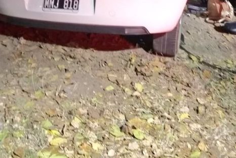 La conductora murió en el acto Foto: @matipascualetti
