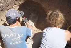 Se conoció el hallazgo de un cráneo de un animal carnívoro que vivió hace unos 10.000 años durante la construcción de una vivienda de calle 60 entre 125 y 127 de Necochea. Foto: Municipalidad de Necochea