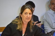 najul: la republica no se negocia, el congreso puede y debe sesionar