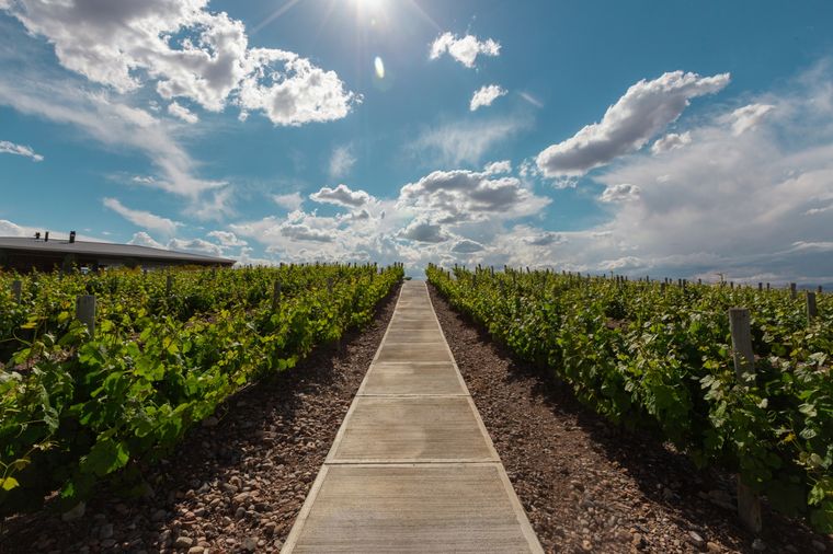 Soundtuary regresa a Mendoza en febrero en un espacio inigualable para disfrutar al máximo.