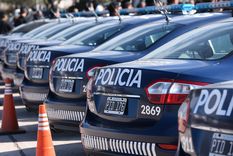 Foto: Pachy Reynoso/MDZ Foto: Pachy Reynoso/MDZ