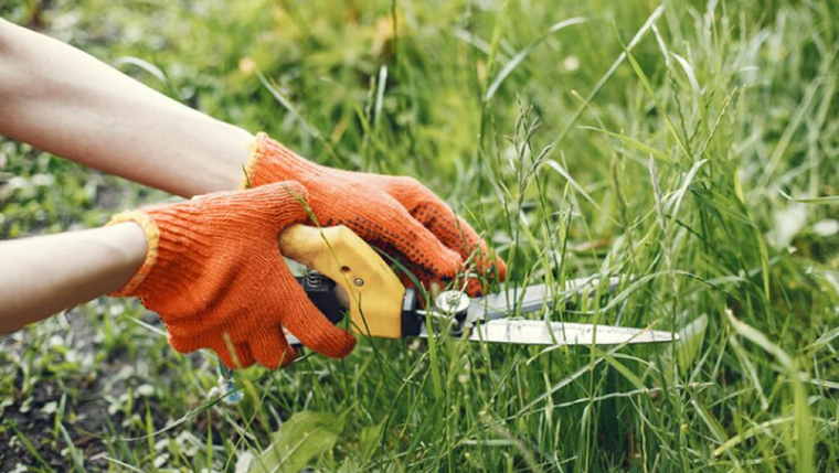 Los mejores trucos caseros. Foto: Fuente: Freepik