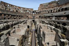 Los huesos fueron hallados en el entorno del Coliseo de Roma. Foto: Efe.
