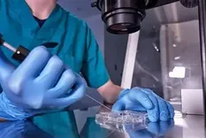 &nbsp;En 1992 logramos en nuestro país el primer nacimiento a partir de embriones criopreservados