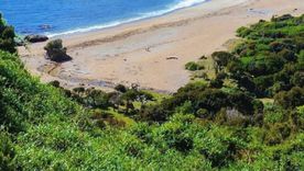 Playa Cole Cole Playa Cole Cole