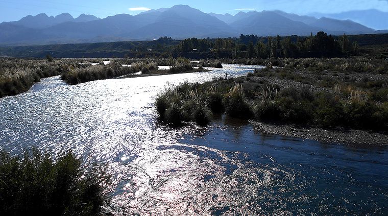 Foto: Alf Ponce / MDZ