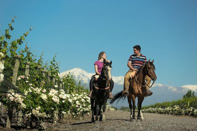 MDZol | Foto: Turismo Tupungato