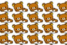 ACERTIJO VISUAL ACERTIJO VISUAL, RETO VISUAL, OSO Foto: Archivo MDZ