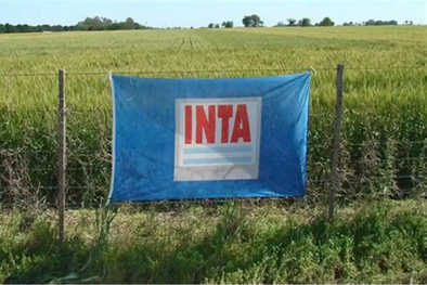 MDZol | INTA (2).webp