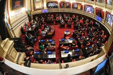 El Senado de la provincia de Buenos Aires suspendió la sesión de este jueves. Foto: X El Senado de la provincia de Buenos Aires suspendió la sesión de este jueves. Foto: X