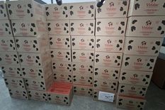 Foto: Gentileza Cani Figueroa / SRT