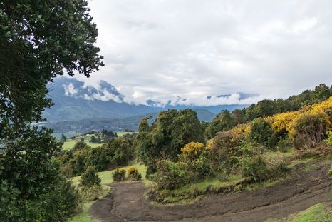 Cochamó es un pueblo del sur de Chile que funciona como puerta de entrada a uno de los valles más impactantes de la Patagonia. Cochamó es un pueblo del sur de Chile que funciona como puerta de entrada a uno de los valles más impactantes de la Patagonia.