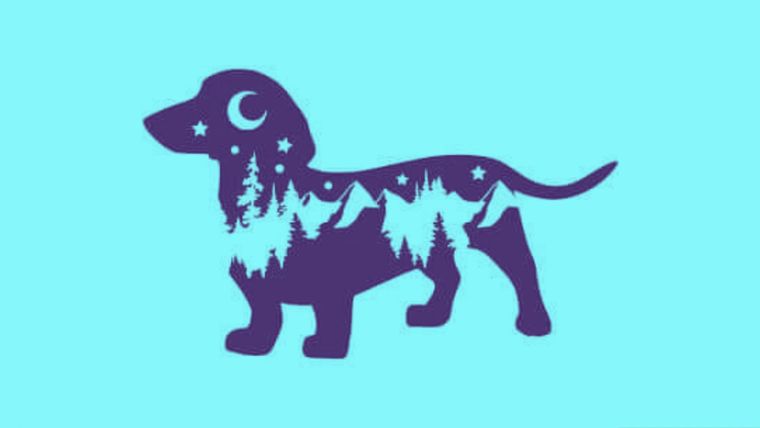 Test de personalidad