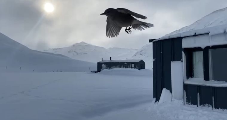El centro de esquí ya comenzó a funcionar en Malargüe Foto: Captura de video. El Azufre