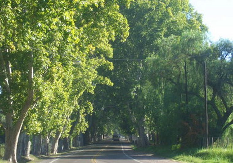 La peligrosa Ruta 50, donde se produjo la violación de la joven