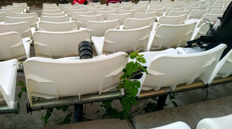 Foto: ALF PONCE MERCADO / MDZ