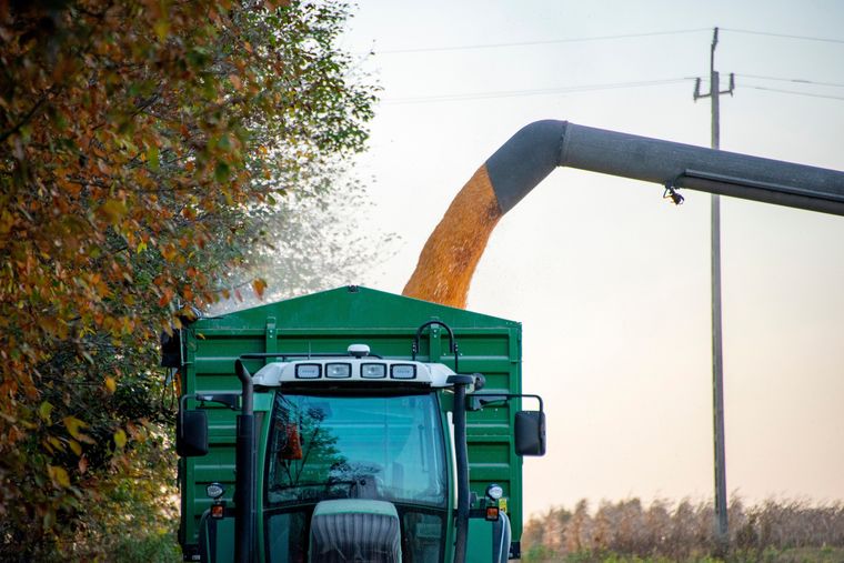 El Ministerio de Agricultura estima 67 millones de toneladas de maíz, superando previsiones.