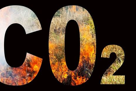 Foto: GETTY IMAGES
