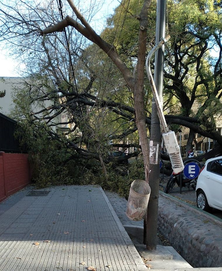 Las calles mendocinas se volvieron peligrosas por las fuertes ráfagas. Foto: @Maile_Rod