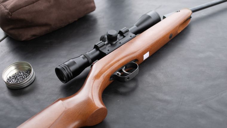 El padre quiso dispararle a un roedor que entró en su casa, pero hirió a su hijo en un ojo en Lavalle.&nbsp;