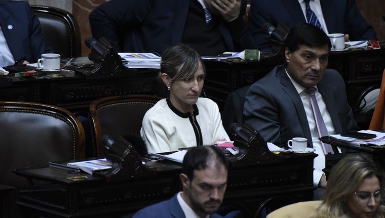 La diputada nacional Mercedes Llano. Foto: Juan Mateo Aberastain Zubimendi/MDZ