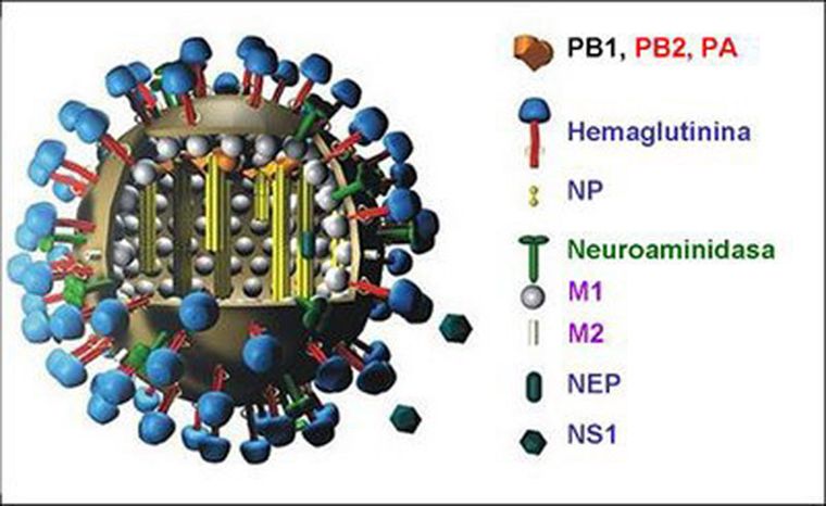 Foto: Gentileza CRICYT