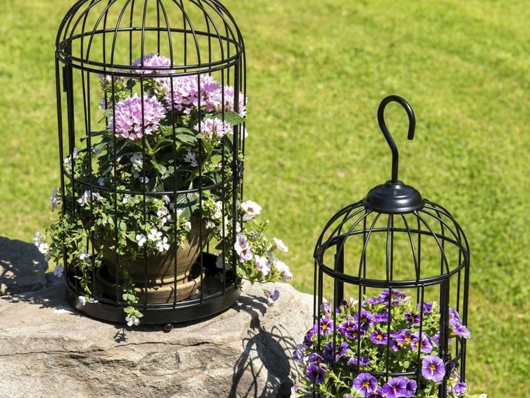 Foto: The quad city times - qctimes.com/lifestyles