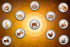 Signo por signo, las predicciones para el 2024 según la astrología china Foto: Archivo MDZ