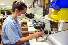 La ciencia ha determinado la mutación genética que causa la psoriasis. Foto: Efe.