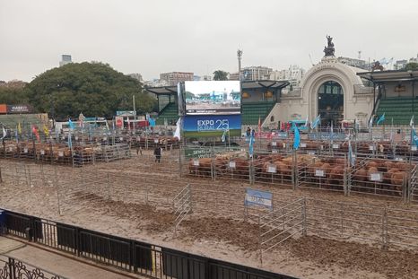 La Exposición Rural abrió sus puertas y funcionará hasta el domingo 27. La Exposición Rural abrió sus puertas y funcionará hasta el domingo 27.