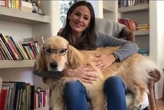 Cómo disfrazó Jennifer Garner a su perro para Halloween