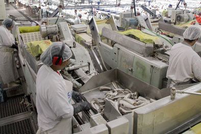 MDZol | Como muchos sectores, la industria pesquera atraviesa serios problemas de competitividad y dificultades para exportar. Foto: NA