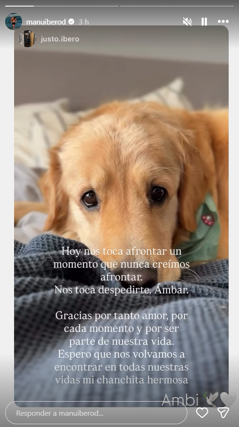 La producción de Gran Hermano le notificó la triste noticia. 
