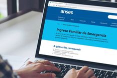 anses: el gobierno pagara el bono de $10.000 tambien en mayo