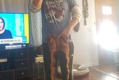 puso a su marido a la venta por 100 dolares luego de que le arruinara su pantalon favorito