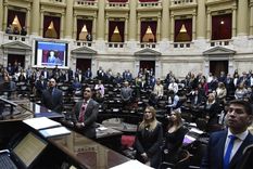 La Cámara de Diputados sesiona desde las 12.30 para aprobar la Ley de Bases. Foto: Prensa Diputados