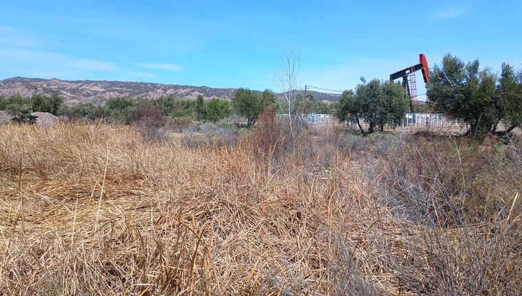 Barrancas es una de las áreas emblemáticas. Foto: Walter Moreno/Mdz