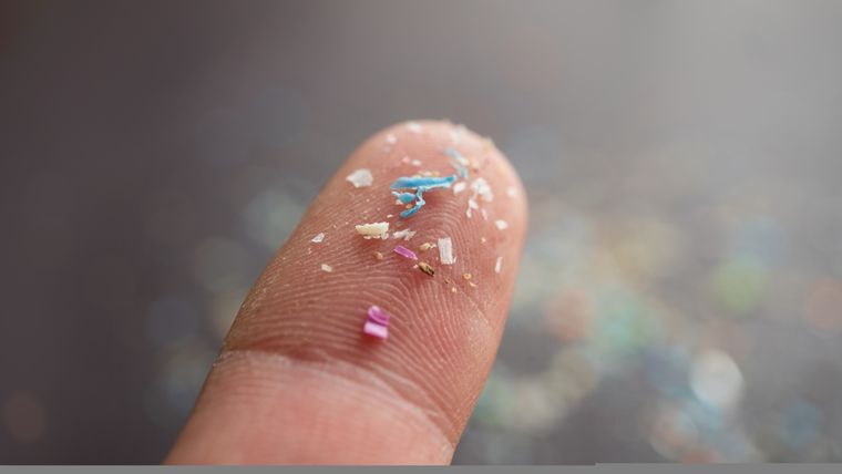 Los microplásticos invaden ecosistemas marinos desde los ríos. Foto: Shutterstock