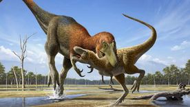 El estudio arrojó un descubrimiento sobre la evolución de los dinosaurios. Foto: Efe El estudio arrojó un descubrimiento sobre la evolución de los dinosaurios. Foto: Efe