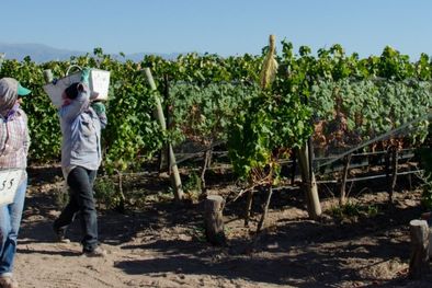 MDZol | Los trabajadores representan uno de los recursos más importantes dentro cualquier sector. Foto: MDZ