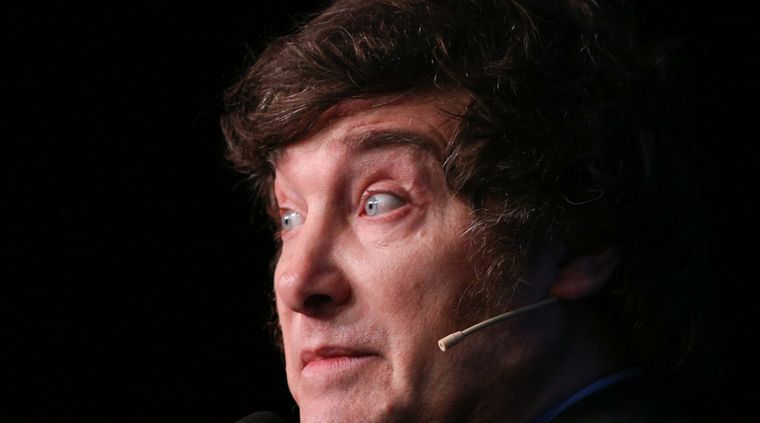 Sin mencionarlo y evocando a Juan Bautista Alberdi, Ricardo Gil Lavedra apuntó contra Javier Milei Foto: NA