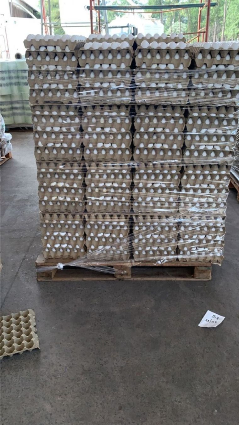 La avícola Santa Ana difundió el video de la destrucción de los huevos. Foto: Captura pantalla.