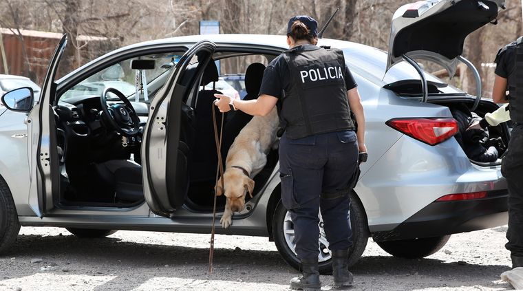 Foto: ALF PONCE MERCADO / MDZ