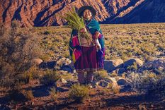 En Jujuy es posible degustar el fernet transparente Foto: Eugenio Mazzingui