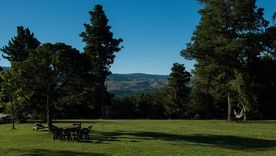 Bosques, senderos y cabañas: este pueblo es onírico. Foto: TripAdvisor